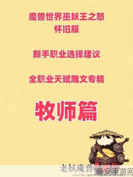魔兽世界牧师成长秘籍,从新手小白到大师之路