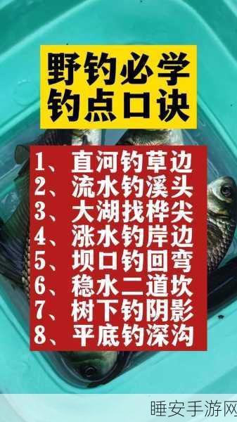 黑色沙漠钓鱼秘籍，绝佳钓点大揭秘