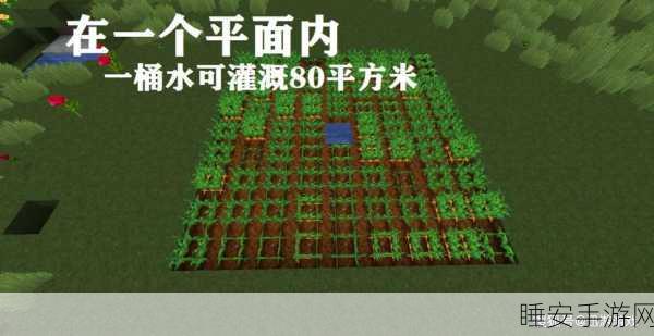 我的世界，探秘红帽地精 全面解析其属性奥秘