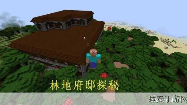 我的世界，探秘红帽地精 全面解析其属性奥秘