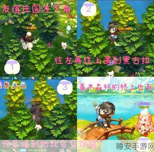 奥比岛验证猜想第三章，神秘岛屿大揭秘，挑战之旅全攻略