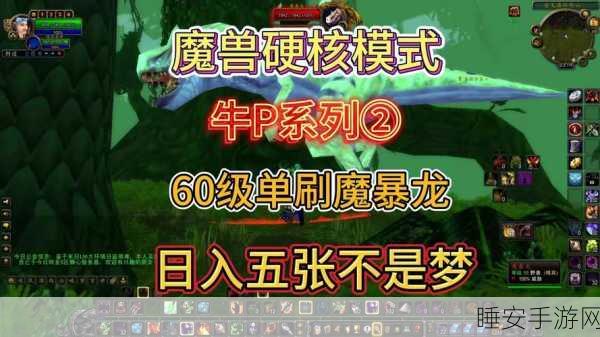 魔兽新手进阶,70级后全面攻略与挑战赛事详解