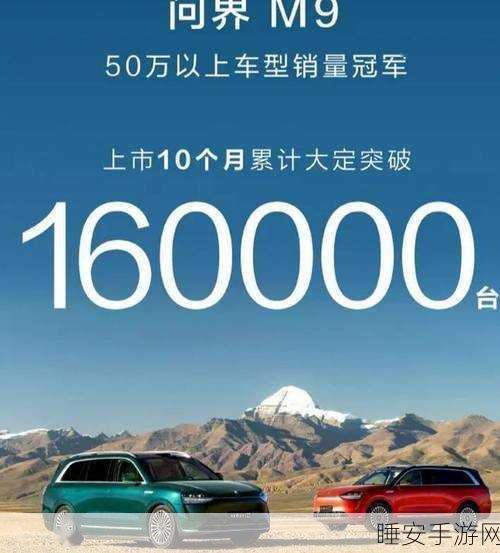 问界 M9 上市半年，大定破 10 万的惊人奇迹