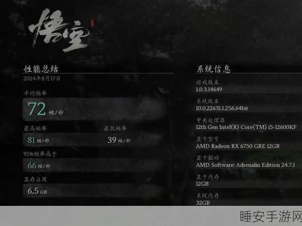 黑神话，悟空画面设置全解析，打造极致游戏体验