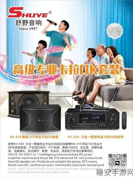 解决分体与一体音箱连接难题，畅享顶级音响体验