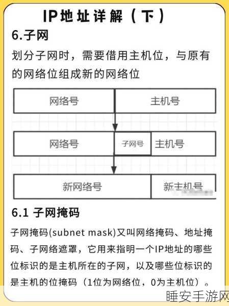 解密共享 IP 与专用 IP 地址的差异,全面指南