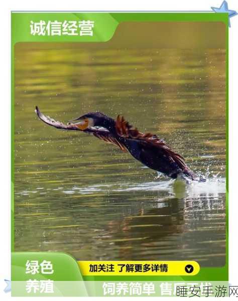 捕鱼来了,黄金弹头的绝妙使用秘籍