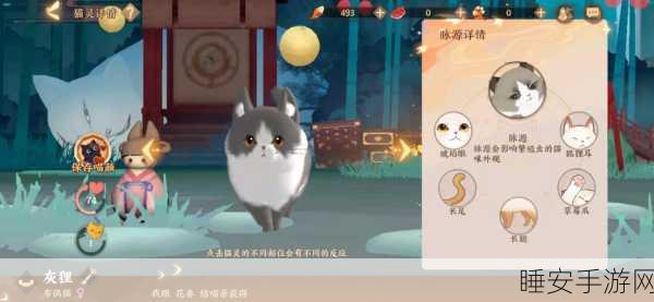 忘川风华录猫灵礼包终极对决,深度解析哪款自选猫礼包性价比最高?