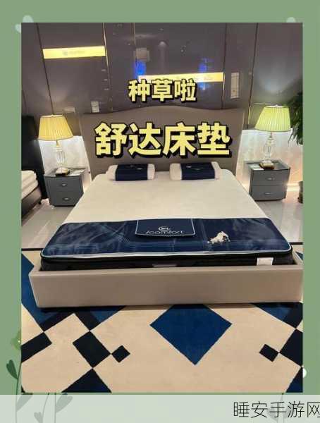 手游界新宠！揭秘舒达智能床如何跨界引爆游戏圈，权威媒体力荐