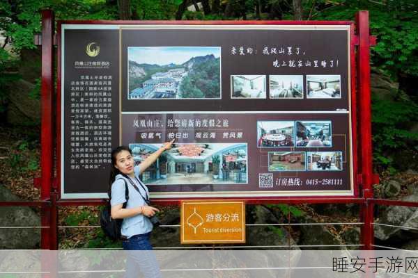 手游界电力全开！湖北凤凰山500千伏变电站扩建助力游戏产业飞跃