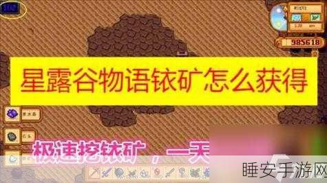 星露谷物语,独家揭秘!高效铱矿速刷秘籍,让你财富与战力飙升
