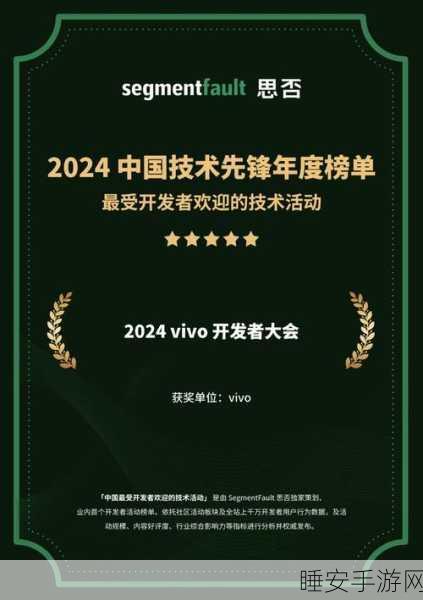 vivo 互联网技术的年度大揭秘！