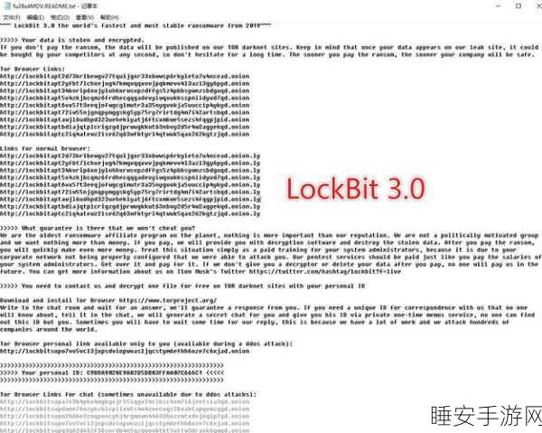 LockBit勒索软件开发者遭美司法部重击,指控细节曝光,网络安全警钟长鸣