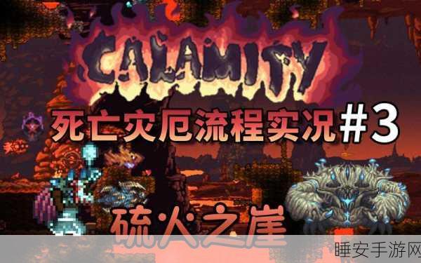 泰拉瑞亚灾厄版,炫酷墨镜寻觅指南及深度解析