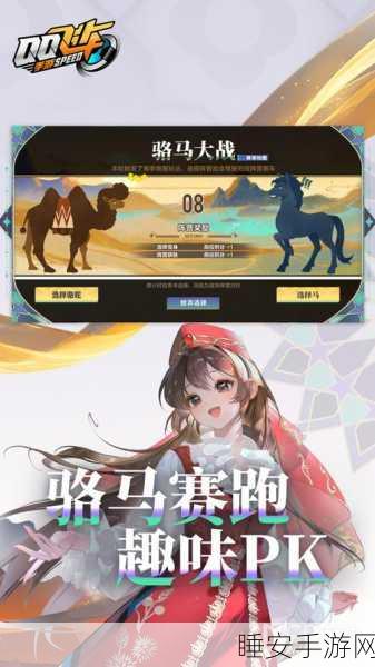 QQ飞车手游体验服资格申请全攻略，揭秘高效通道与独家赛事亮点