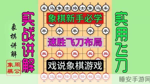 象棋新玩法大揭秘,探索传统棋艺的现代魅力