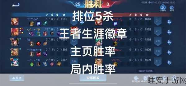 王者荣耀战队荣耀勋章速刷攻略，揭秘高效获取途径与比赛细节