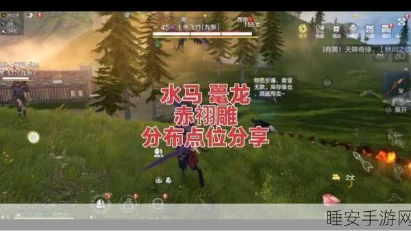 妄想山海，百年玄马进化龙马的神秘攻略