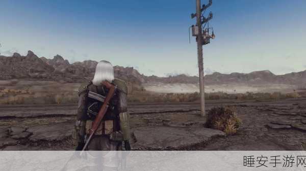 辐射4,新维加斯收枪按键揭秘及游戏深度解析