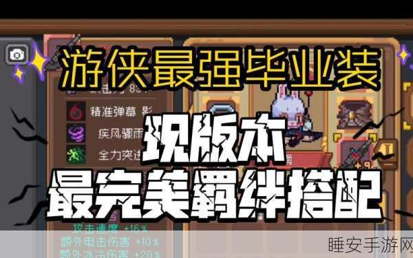 元气骑士前传，装备共享秘籍大揭秘，与挚友共赴冒险之旅