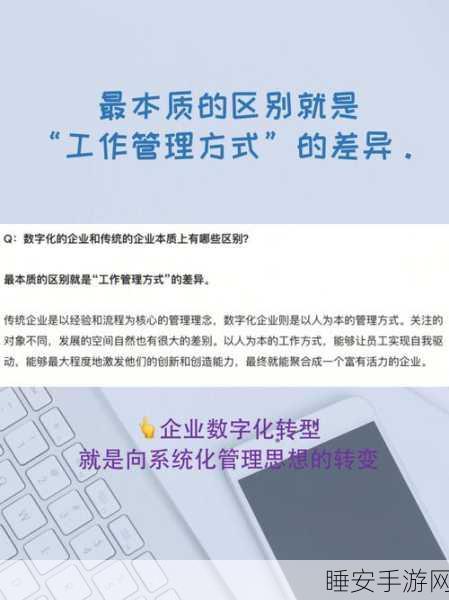 企业数字化转型必知的 28 字神奇箴言