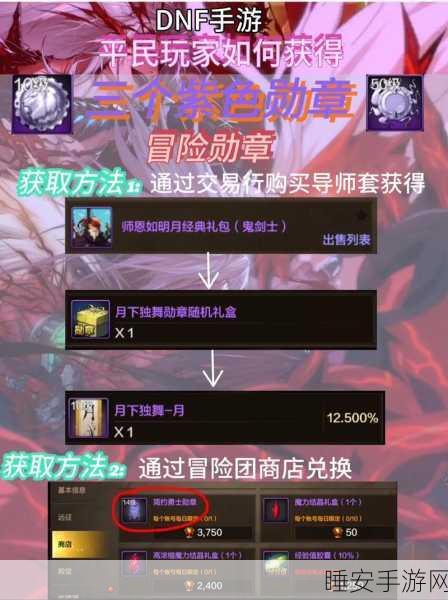 DNF 公会贡献稀有勋章礼盒获取秘籍大揭秘
