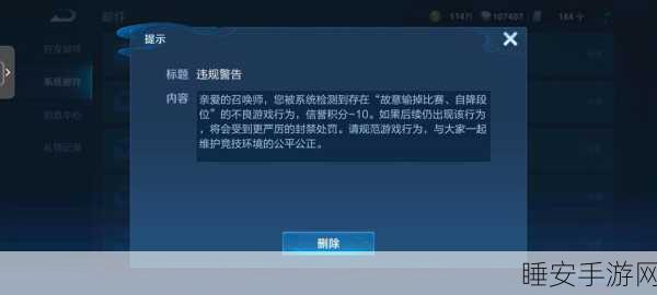 王者荣耀改名卡功能暂停之谜,深入剖析背后原因及比赛细节