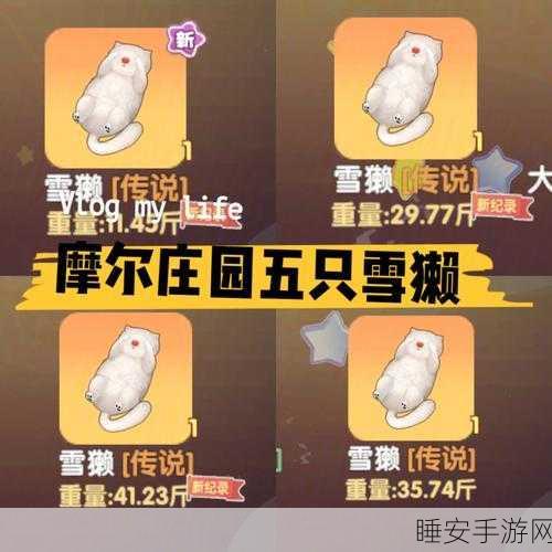 摩尔庄园钓鱼大赛,雪獭捕捉技巧与专属雪獭床DIY全揭秘
