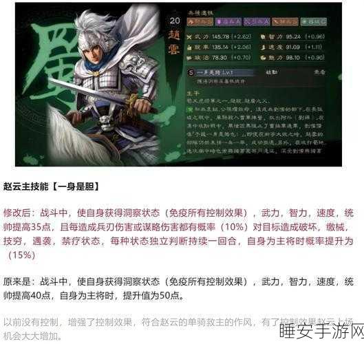 赵云法师新打法揭秘，荣耀王者赛场上的制胜秘籍