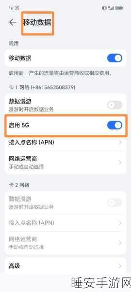 一加 9 手机 5G 网络开启秘籍，必看步骤大揭秘！
