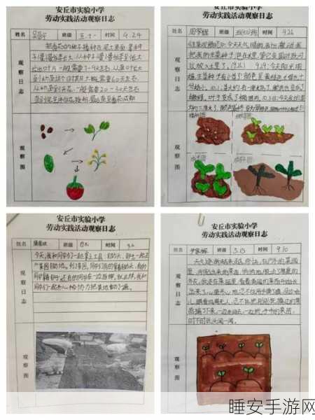 小森生活,开垦土地秘籍大揭秘