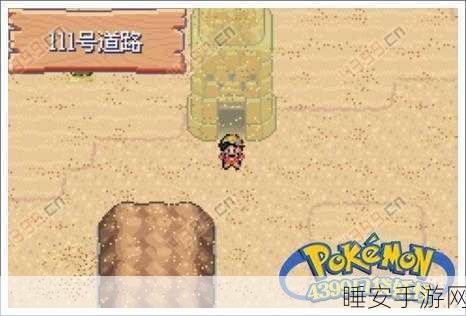 口袋妖怪极光石精装版，揭秘卡那兹市道馆馆主杜娟的挑战攻略