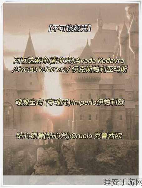 哈利波特决斗俱乐部,揭秘夺取对手魔杖的终极咒语!