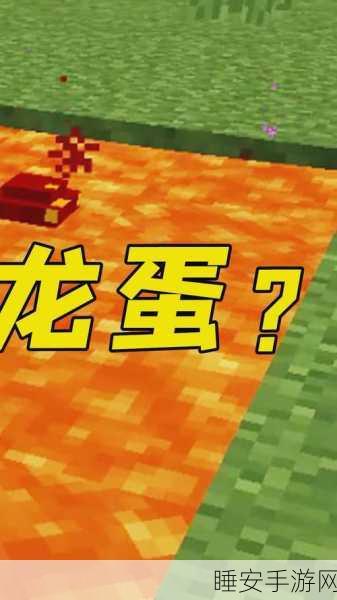 我的世界生活大冒险,解锁龙蛋孵化秘籍,打造你的龙骑士传奇!