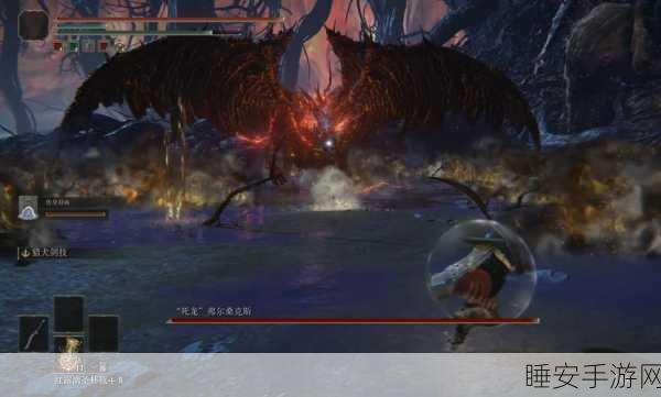 艾尔登法环深度探索,揭秘龙王栖息地全攻略及战斗技巧
