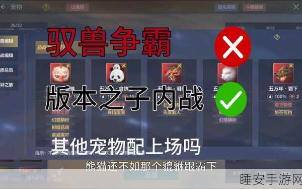 妄想山海巅峰对决,侍从与宠物输出王者争霸赛全解析
