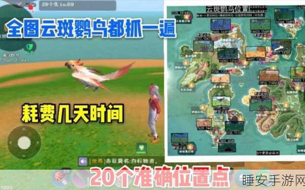 必知！创造与魔法云斑鹦鸟的精确刷新时间大揭秘