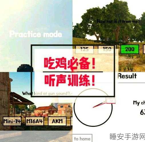 绝地求生FX Sound设置攻略，提升你的战场听觉体验