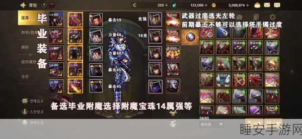 DNF 漫游职业实战攻略,套装抉择与输出巅峰