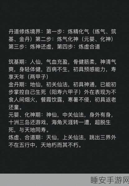 称霸神仙道,伙伴成仙的终极攻略秘籍