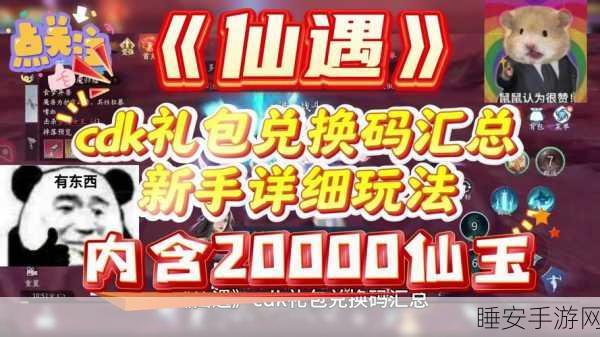 仙剑世界2024,珍稀兑换码全攻略,独家揭秘与高效获取途径