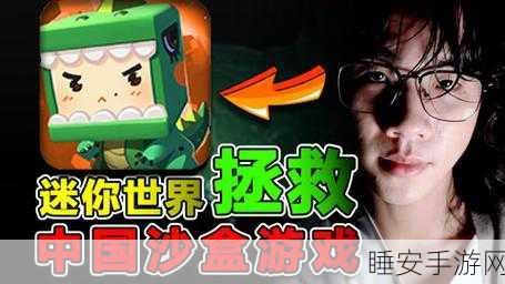 迷你世界深度解析,探索无限创意与独特魅力的沙盒世界