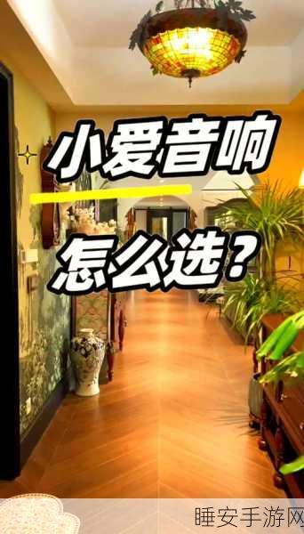 小爱音箱与极米音箱的连接秘籍，要点全掌握！