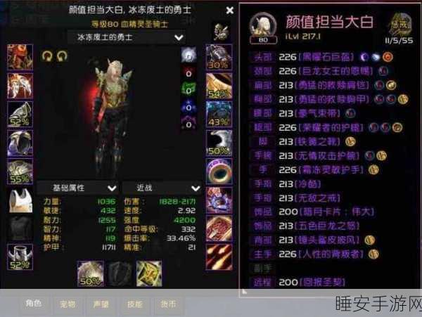 WLK骑士升级攻略，防御还是惩戒？深度解析与实战建议