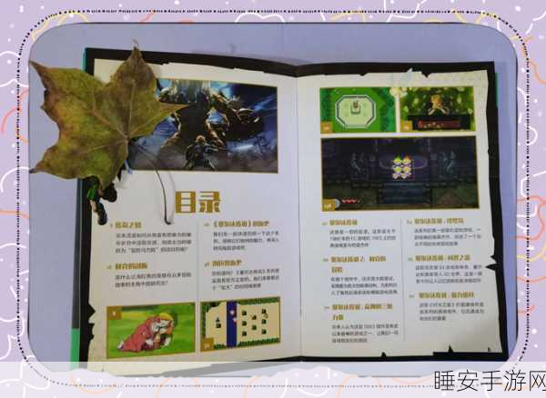 塞尔达传说，猫咪装独家获取秘籍，智慧探索全攻略大公开