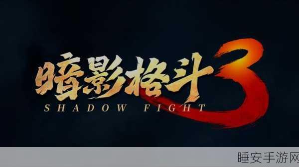 暗影格斗3,顶尖对决秘籍,解锁战斗艺术的终极奥义