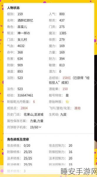 梦幻西游深度攻略，五开组合与等级阶段全解析