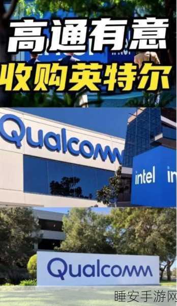 英特尔欲出售 Altera 子公司业务股份，背后原因引人关注