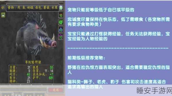 魔兽世界探险指南,部落玩家如何征服辛特兰
