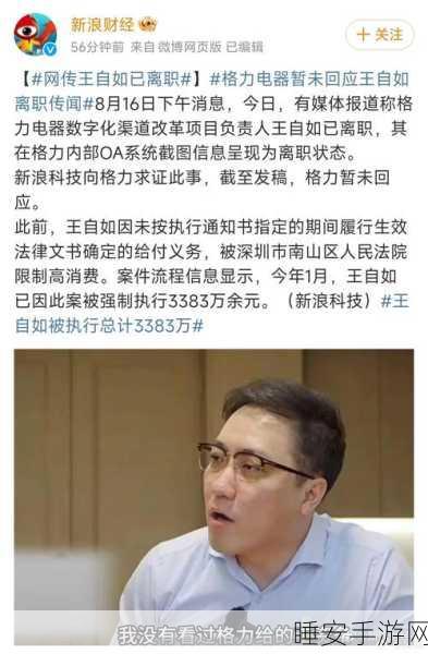 罗永浩回应王自如离职,别来问我!